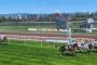 [GALOP] 1er octobre 2024 - Chantilly