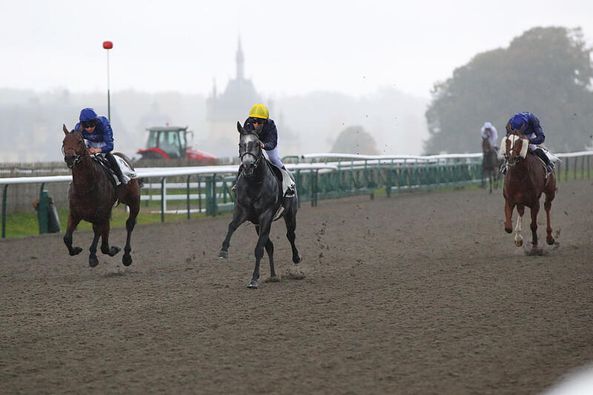 [GALOP] 18 octobre 2024 - Chantilly